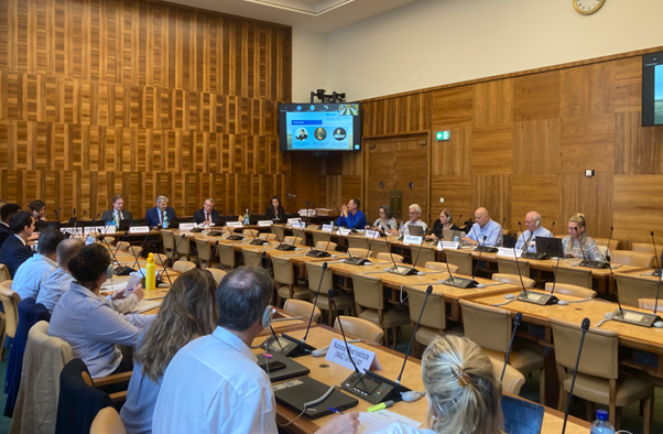 UNECE Report